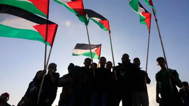 دراسة_حول_الانتخابات